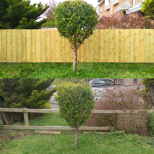 wooden fence project